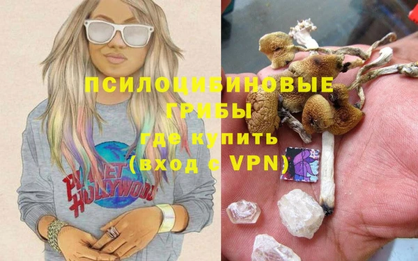 амф Алексеевка