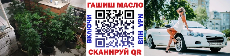 закладка  KRAKEN   ТГК концентрат  Прохладный 