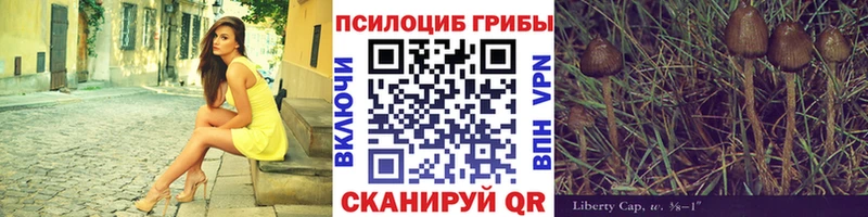 Галлюциногенные грибы GOLDEN TEACHER  где купить наркоту  hydra зеркало  Прохладный 